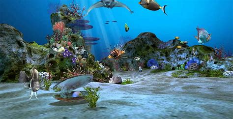 Live Aquarium HD wallpaper | Pxfuel