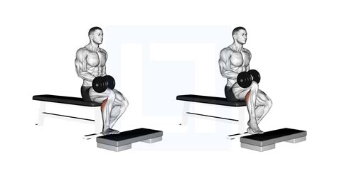 Dumbbell Seated One Leg Calf Raise - Guide, Benefits, and Form