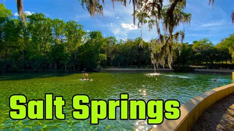 Salt Springs Recreation Area, Day Use Park Visit (RV Living Full Time) 4K - YouTube