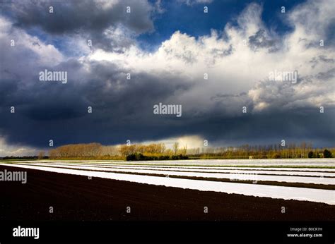 Fen black soil hi-res stock photography and images - Alamy