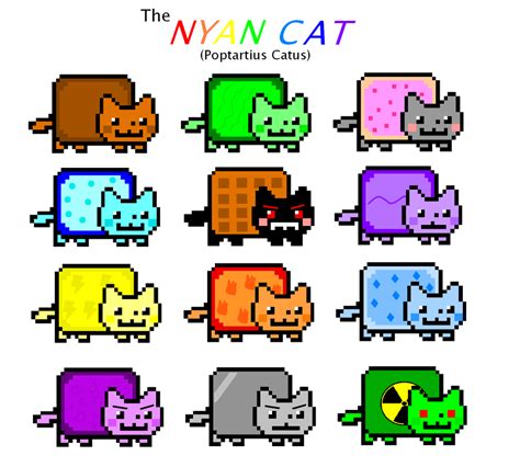 Nyan Cat Sheet by Dodria on deviantART | Nyan cat, Cat anatomy, Cats