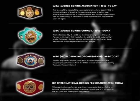 The Different Boxing Title Belts Explained | The Boxing Champions