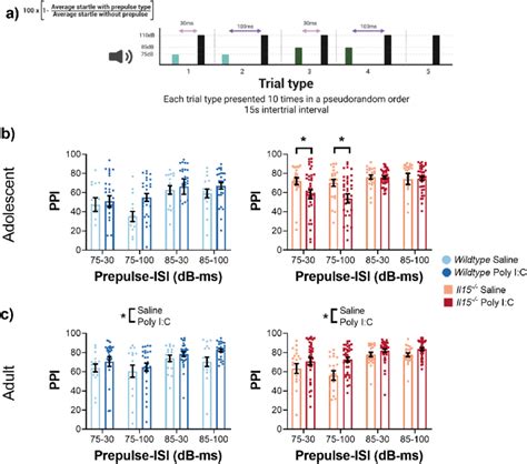 Poly I:C MIA leads to reduced PPI with a quiet prepulse in adolescent... | Download Scientific ...