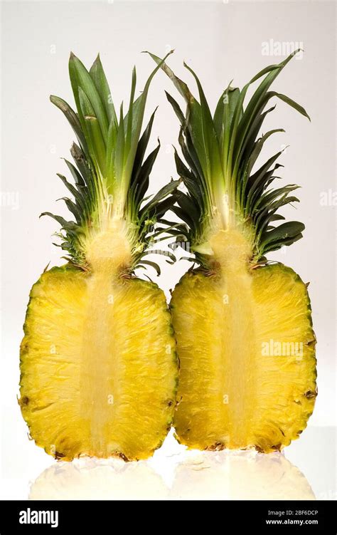 Pineapple contains a proteolytic enzyme bromelain, which breaks down protein and also has anti ...