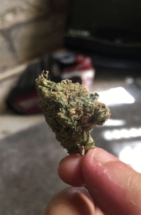 is this a good nug? : r/weed