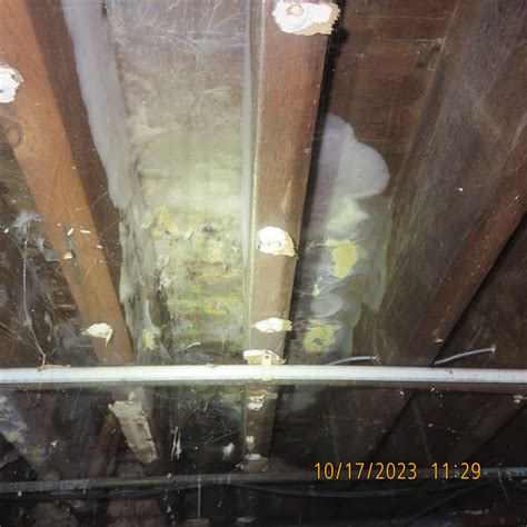 NJ Basement Mold | Mold Testing NJ-NY