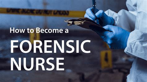 6 Steps to Becoming a Forensic Nurse | Salary & Programs