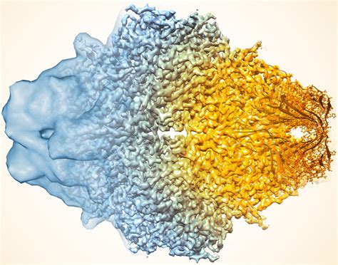 Got It Down Cold: Cryo-Electron Microscopy Named Method of the Year – NIH Director's Blog