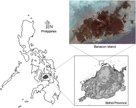 4 Location map of Banacon Island, Getafe, Bohol, Philippines | Download ...