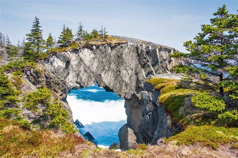 14 Top-Rated Attractions & Things to Do in St. John's, Newfoundland | PlanetWare