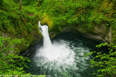 A visitor views Punch Bowl Falls along the Eagle Creek Trail. Columbia ...