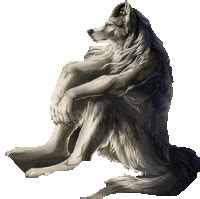 Wolf GIFs | Tenor