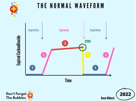 A Beginner's Guide to Capnography - Don't Forget the Bubbles