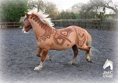 These Horses Get Haircuts Like You Have Never Seen Before • AwesomeJelly.com