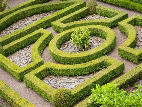 What Is A Parterre Garden - Tips On Creating Parterre Knot Gardens