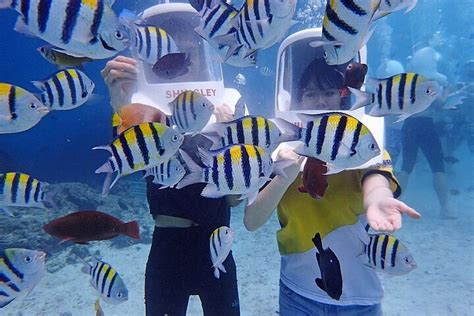 2024 Boracay Helmet Diving provided by Philippines Divers