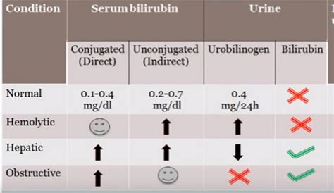 ALK Blood Test Results Explained - HRF