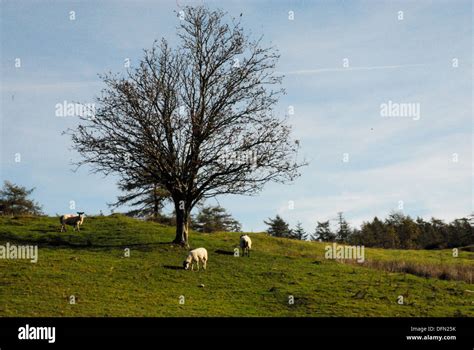 Lake District Landscapes Stock Photo - Alamy