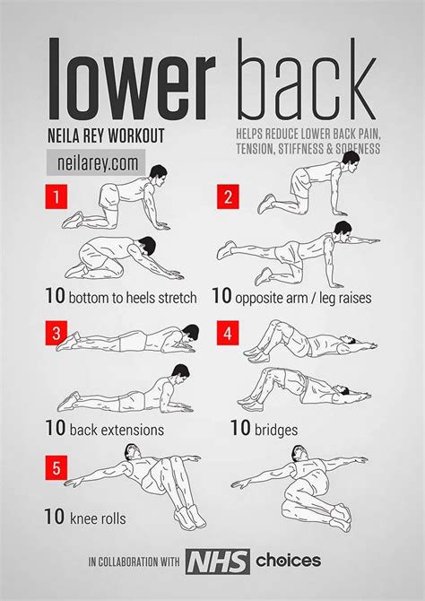 Best Lower Back Stretches – TFE Times