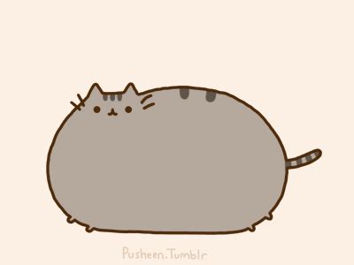 Fat Cat GIF - Find & Share on GIPHY