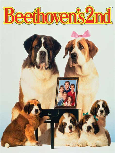 Prime Video: Beethoven's 2nd