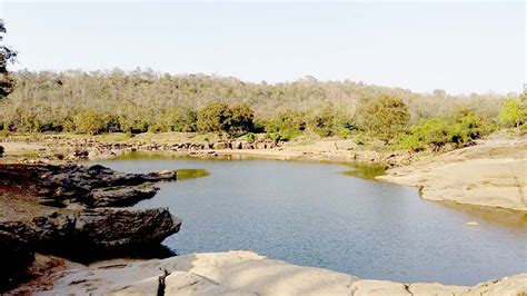 Satpura National park Safari - Timings, Cost, Online Booking, Jeep, Tickets