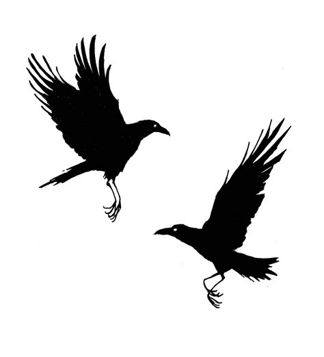 Crow Drawings - ClipArt Best - ClipArt Best - ClipArt Best