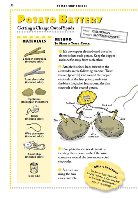 Getting a Charge Out of Spuds!Potato Chip Science - Workman Publishing