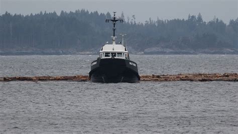 Powell River in Photos: Inclement Weather