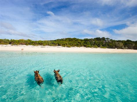 The World's Clearest Waters - Condé Nast Traveler