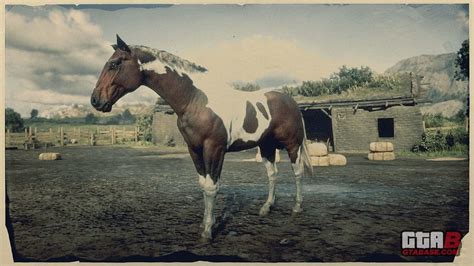 Tobiano American Paint Horse | RDR2 & Online Horse Stats & Locations