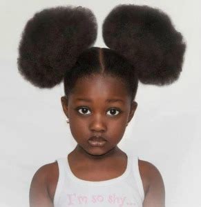 Ohio High School Apologizes For Banning Afro-Puffs In Dress Code | Chicago Defender