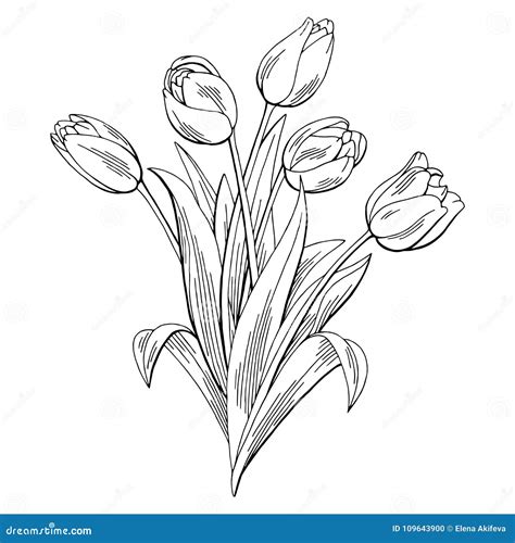 Tulip Flower Bouquet Cartoon Vector | CartoonDealer.com #41976183