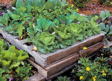 DIY Pallet Raised Garden Bed | Garden Gate