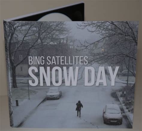 Bing Satellites - Snow Day