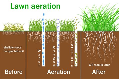 What Is Core Aeration and It's Benefits? - OakLawn Landscaping