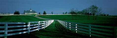 Usa, Kentucky, Lexington, Horse Farm Photograph by Panoramic Images ...