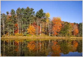 Fall Colors | This is a 6 image panorama taken in Phippsburg… | Flickr