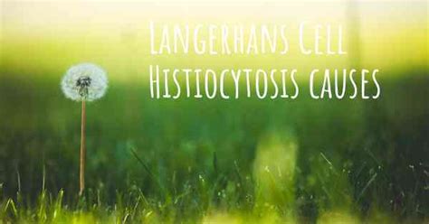 Which are the causes of Langerhans Cell Histiocytosis?