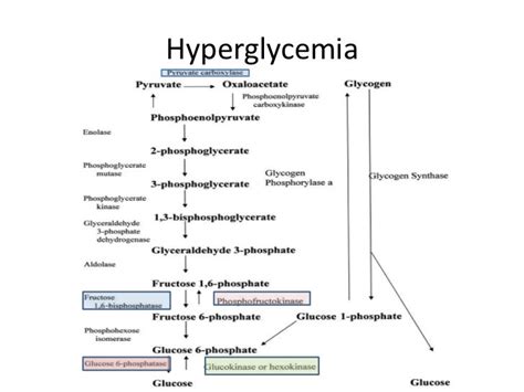 Hyperosmolar hyperglycemic state