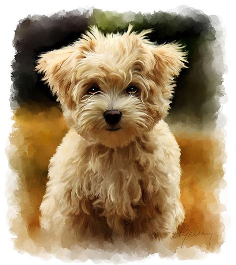 Pet Dog Portrait Painting by Michael Greenaway