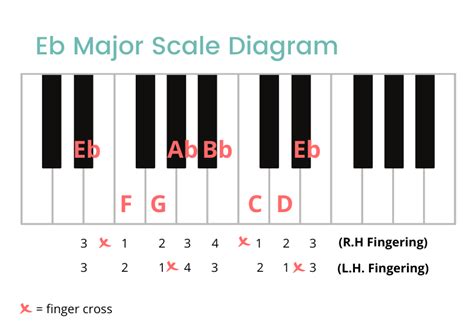 Eb Major Scale On The Piano - Notes, Fingerings & More