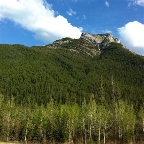 Near Canmore, Alberta Photo credit, L. McKay, May 16, 2012