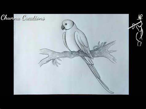 How to draw parrot sketch...|| Parrot drawing..|| Realistic Parrot ...