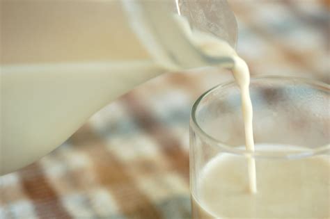 Raw Milk and Raw Cheese: Why You Should Avoid Them Both.