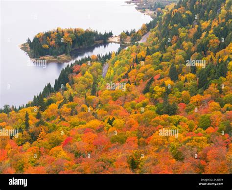 Fall colors in Quebec, in Mont Tremblant Provincial Park Stock Photo ...