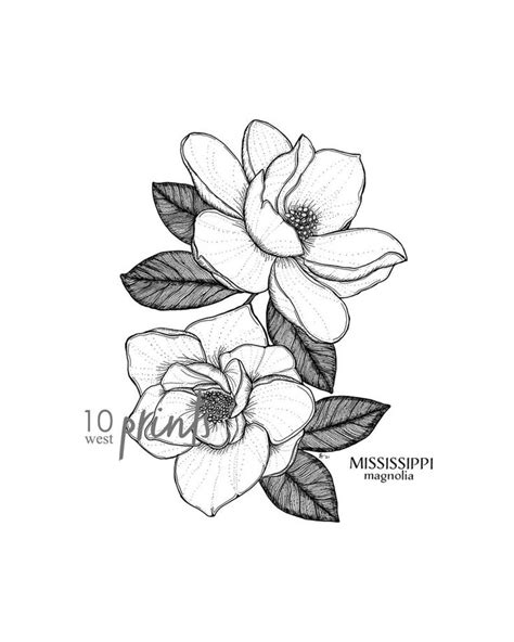 Mississippi Magnolia Ink Sketch Print / Printable / Art / Digital Download / Botanical Print ...