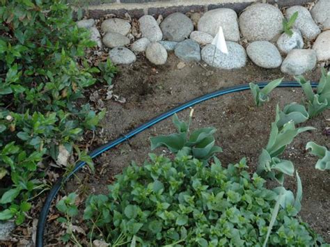 Cost to Install a Drip Irrigation System - 2021 - DIY or Not