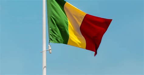 Mali National Flag · Free Stock Photo