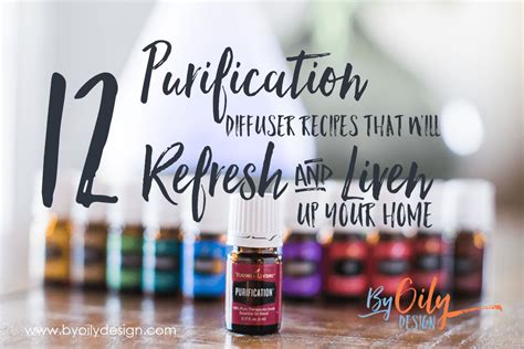 How to use purification to refresh and liven up your home - By Oily Design